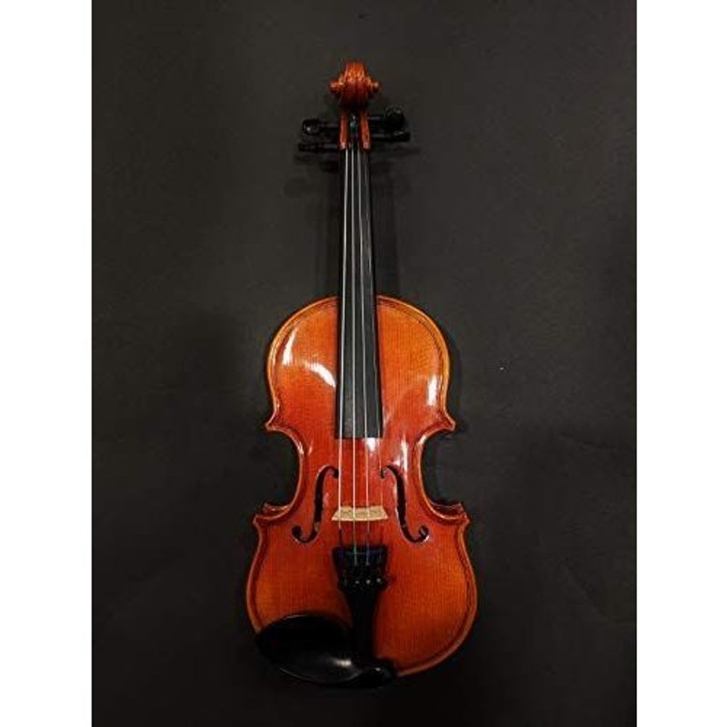 中古SANDNER 子供用分数バイオリン 1/16サイズ 116003 通販 LINE ...