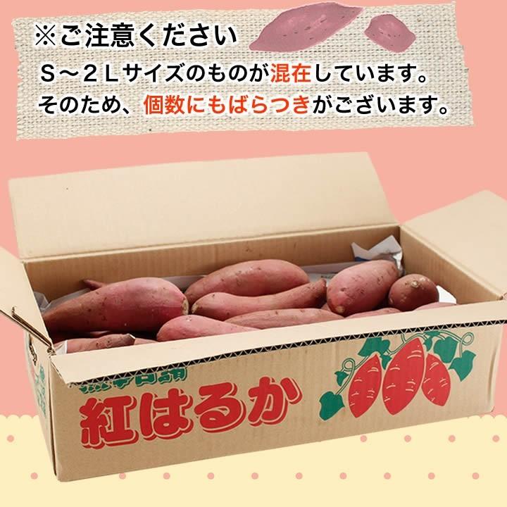 九州 ギフト 2023　ふるさと駅 奇跡のからいも 紅はるか 5kg  S〜２Lサイズ  熊本県産さつまいも  常温