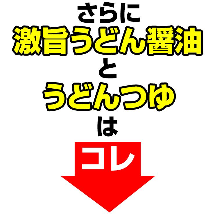 ひと目惚れするほど、旨すぎる 醤油・つゆ付 金福 讃岐うどん 送料無料 ネコポス 並切麺 香川県 グルメ お取り寄せ ポイント消化 産地直送