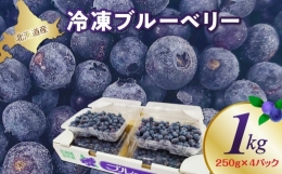 冷凍ブルーベリー 250g×4パック 北海道産　甘くてジューシー 余市産 ブルーベリー 250g × 4パック 合計 1kg 冷凍 北海道 余市町 国産 抗酸化作用 フルーツ 果物 お取り寄せ 小分け パック スムージー ジュース バラ詰め 不揃い 送料無料