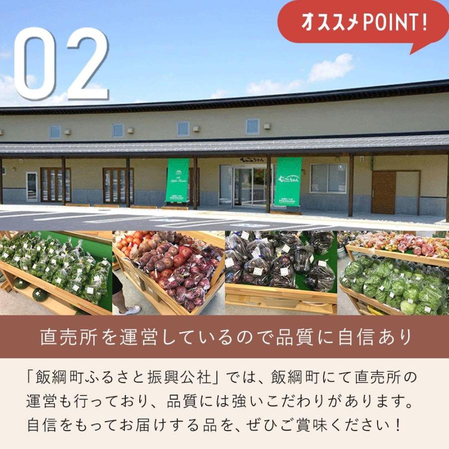 米 ミルキークイーン 精米 5kg 長野県 飯綱町 信州 5キロ 長野県産 ギフト 白米