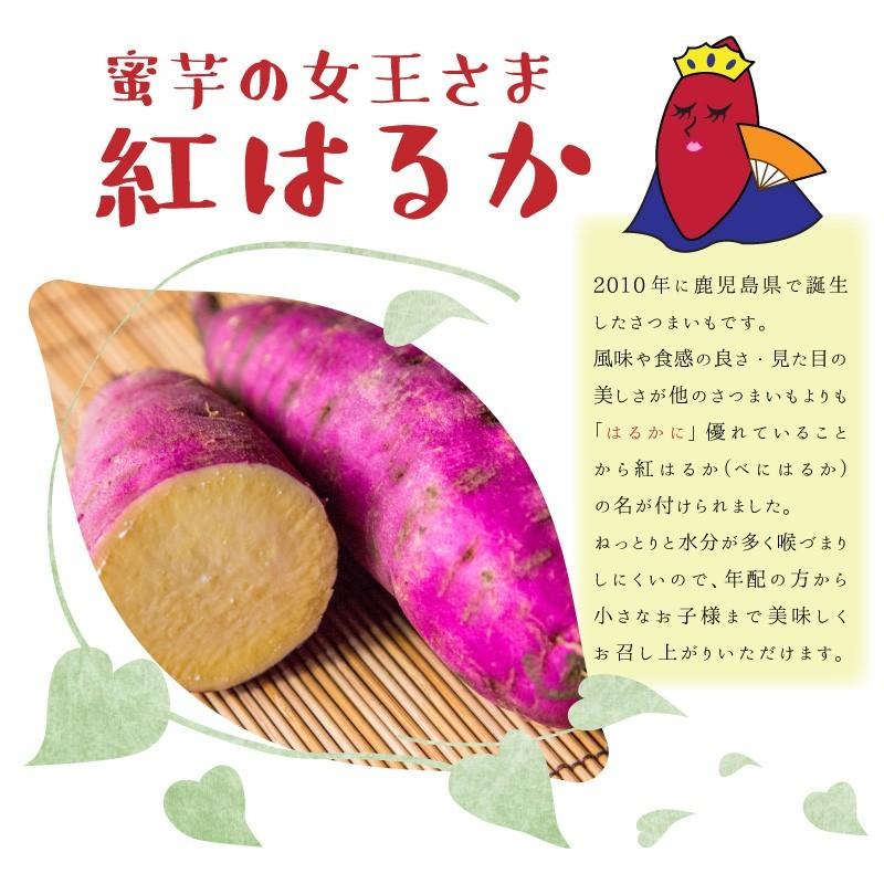 さつまいも 紅はるか 3kg （土付き・大小サイズ混在） 2023年産長期熟成 鹿児島県産 べにはるか