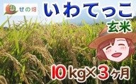 「いわてっこ」玄米10kg×3ヵ月定期便 ／ 新米 米 産地直送