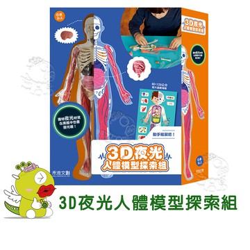 【禾流文創】3D 夜光人體模型探索組 人體模型 學習教具