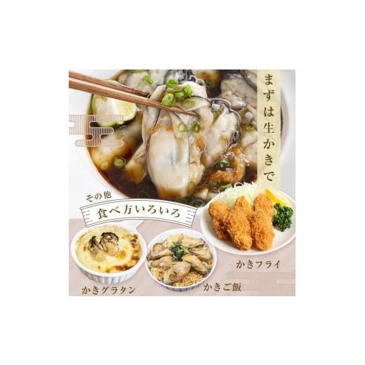 ふるさと納税 宮城県 石巻市 牡蠣 宮城県産 氷温熟成 かき 生食用（冷凍）220g×6袋 約1.3kg 小分け 冷凍 バラバラ冷凍