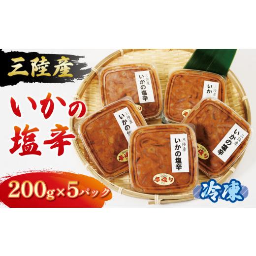 ふるさと納税 岩手県 大船渡市 イカ塩辛 1kg 200g×5パック イカ いか 塩辛 小分け 冷凍 海産物 イカの塩辛 烏賊 三陸産 塩 釣り 辛い ご飯 おかず 夕飯 夕ご…