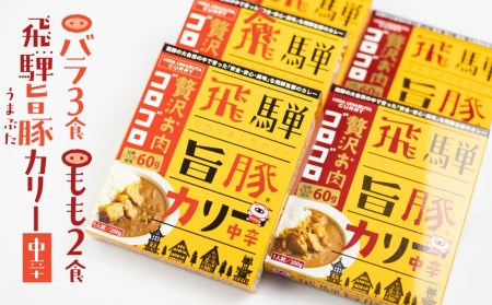 お肉ゴロゴロ 飛騨旨豚　カレー 5袋 (モモ肉×2袋、ばら肉×3袋) 2種 ブランド豚 レトルトカレー　豚カレー ポークカレー 豚肉カレー 豚肉 詰め合わせ 5個 肉   飛騨 ご当地カレー 食べ比べ さるぼぼ　ご当地