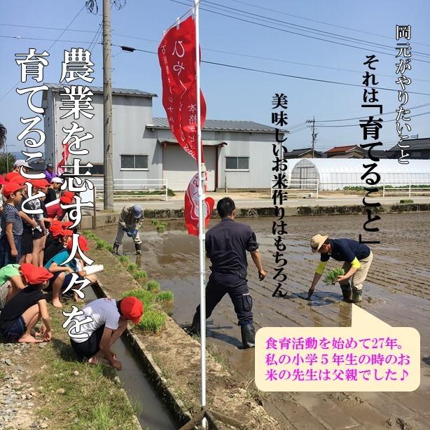 　ひゃくまん穀　お米　3kg　玄米精白米選べる　一等米　石川県産　生産農家　農家直送米　送料込み