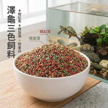 陸龜驛站｜澤龜飼料 水龜飼料 烏龜飼料 飼料 烏龜 斑龜 忍者龜 麝香 屋頂 巴西 地圖 澤龜水龜