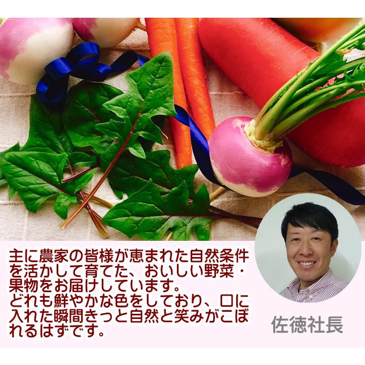 野菜セット 8品目以上 山形県産 冷蔵 新鮮 地物野菜 おまかせ 詰め合わせ 在来作物
