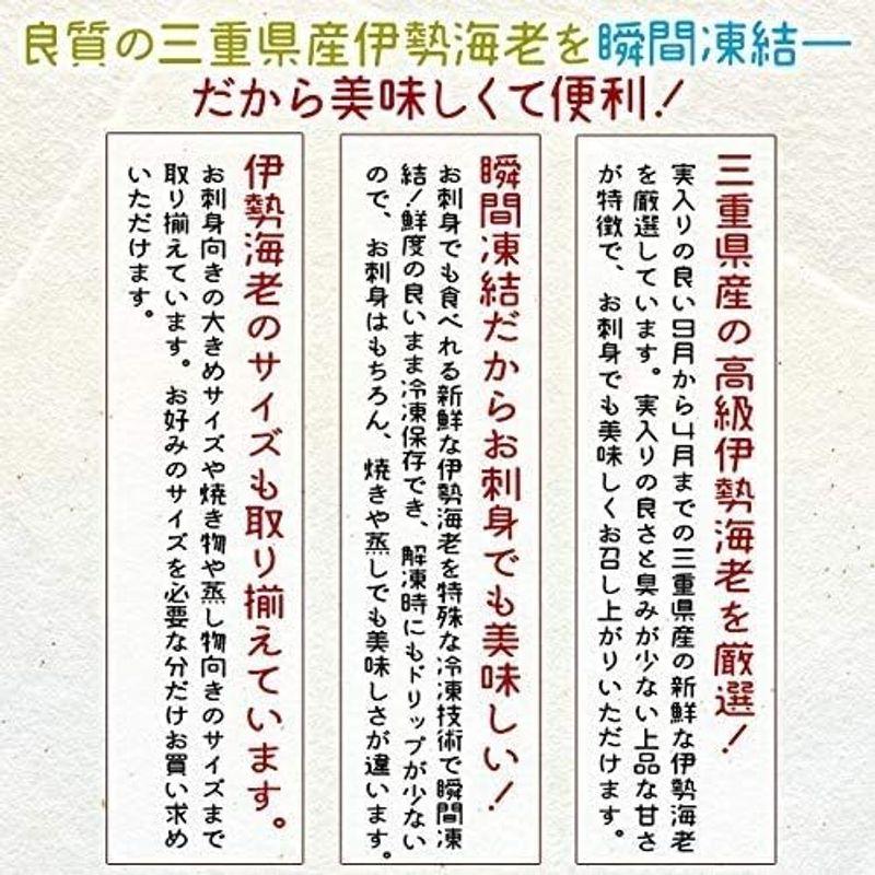 三重県産 伊勢海老 詰合せ ５尾で約２ｋｇ 刺身用 瞬間 冷凍 伊勢エビ