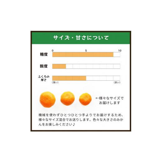 ふるさと納税 和歌山県 海南市 蔵出しみかん丹生系｜和歌山県海南市下津町の特産品蔵出しみかんの最高級品種