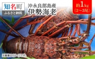 沖永良部島産　伊勢海老　約1kg(2～3尾)