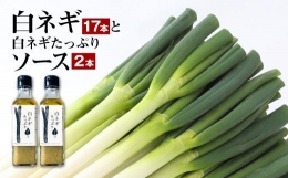 073-389 大分県産 白ネギ17本と白ネギたっぷりソース2本 セット