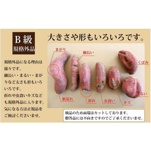 ふるさと納税 鹿児島県 南大隅町 訳あり シルクスイート 2.5kg 1箱 熟成 さつまいも  鹿児島県産