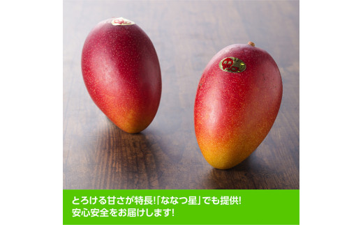 宮崎県産完熟マンゴー「おひさまハニーマンゴー」２Ｌ（大）×２玉 [E3305]