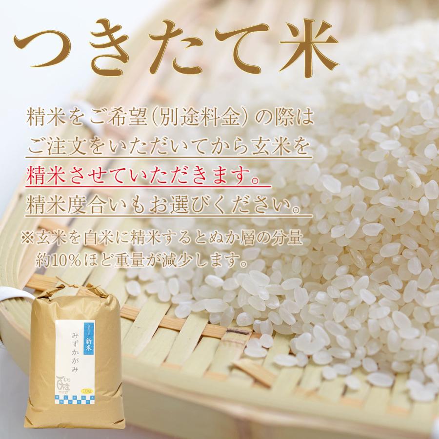 新米 みずかがみ 10kg 令和5年 送料無料 お米 白米 玄米 1等級米 10キロ 米 近江米 米10kg 農家直送 滋賀県 産地直送 即日発送