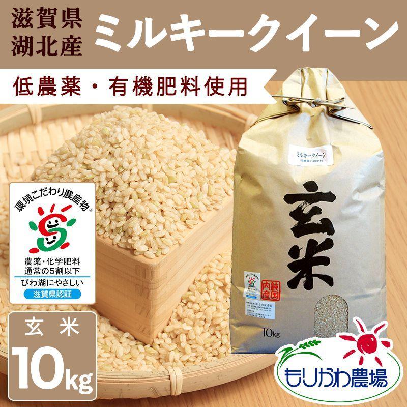 新米 滋賀県産 ミルキークイーン 玄米 10kg 令和５年産