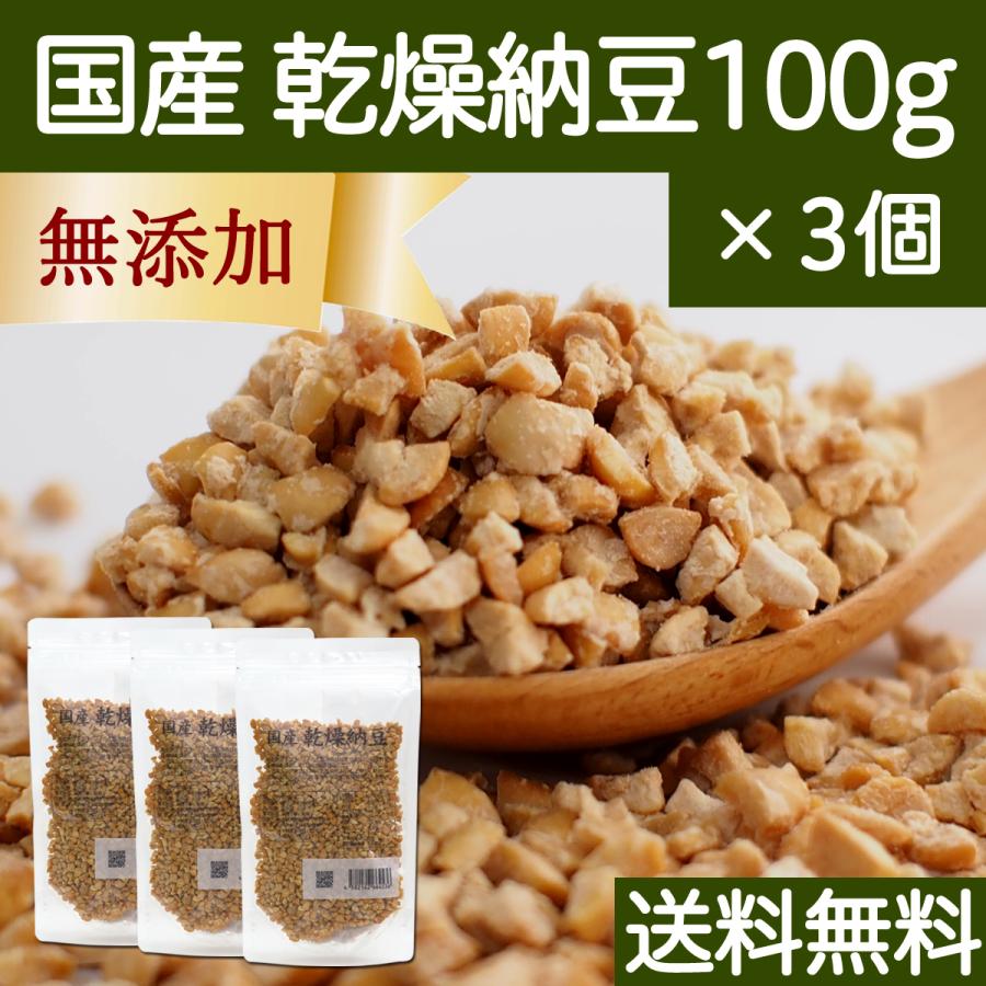 乾燥納豆 100g×3個 ドライ納豆 ひきわり納豆 無添加 犬 国産 送料無料