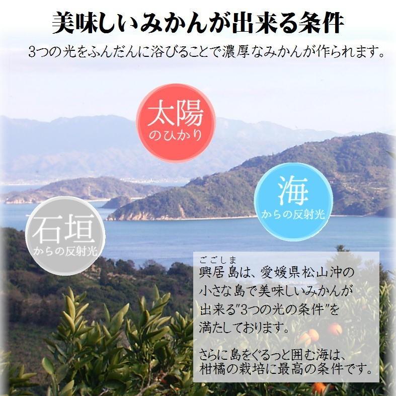 家庭用 興居島みかん 約10ｋｇ北海道・沖縄別途送料1000円