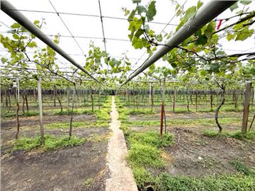 O26溪湖三興雙面臨路農地角地｜彰化縣溪湖鎮​