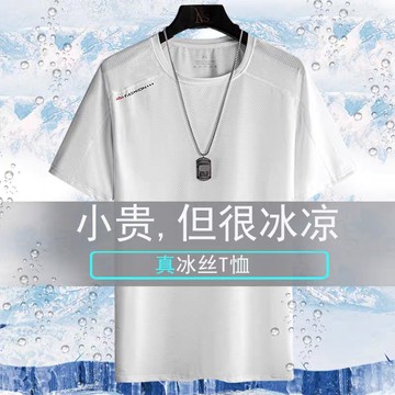 冰絲速乾圓領網眼上衣 冰絲短袖t恤 夏季衣服 涼感衣 速乾衣 吸濕排汗衣 網眼t恤 運動上衣 男生短袖t恤（LYT01）