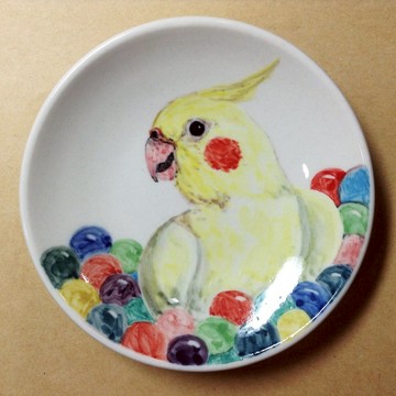 玄鳳在球池玩耍-鸚鵡手繪小碟