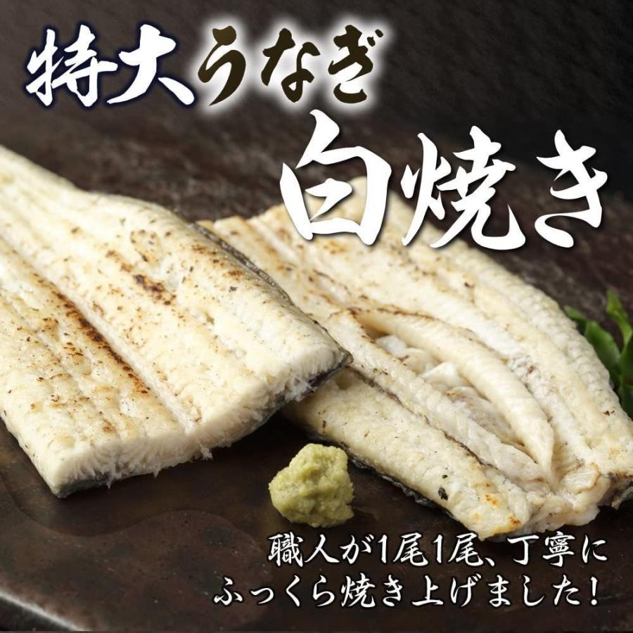 うなぎ白焼きうなぎ 鰻白焼き鰻 うなぎ国産人気うなぎ 鰻国産人気鰻 2尾 お中元 ギフト