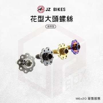 JZ 傑能 螺絲 牌照螺絲 大牌螺絲 M6x20 花型螺絲 造型螺絲 車牌螺絲 白鐵螺絲 大頭螺絲 機車螺絲 墊片螺絲