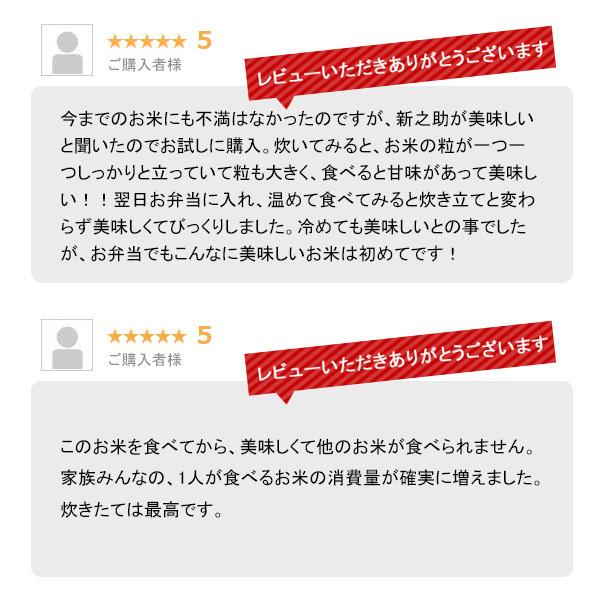 新米 5kg 新之助 お米 5キロ 新潟県産 一等米 しんのすけ 令和5年産 白米 産直 精米 送料無料