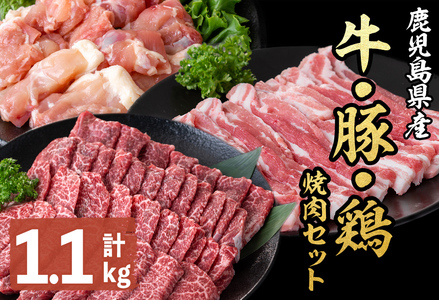 鹿児島県産牛・豚・鶏焼肉セット(計1.1kg) a6-029