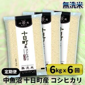 ふるさと納税 無洗米魚沼十日町コシヒカリ6kg×6回 新潟県十日町市