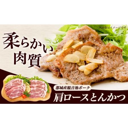 ふるさと納税 「観音池ポーク」ロース＆肩ロース とんかつ3kgセット_MJ-1529_(都城市) 豚肉 ロース 肩ロース とんかつ 冷凍 宮崎ブランドポーク.. 宮崎県都城市