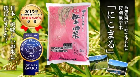 ◎新米◎四万十育ちの美味しい「仁井田米」にこまる3kg。高知のにこまるは四万十の仁井田米／Bmu-A26