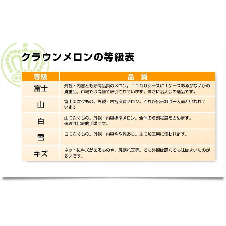 静岡県より産地直送　静岡県温室農業協同組合クラウンメロン支所　クラウンメロン　山　7.5キロ　（6玉）　送料無料　メロン　めろん