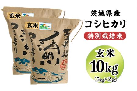 20-21茨城県産コシヒカリ特別栽培米10kg（5kg×2袋）玄米