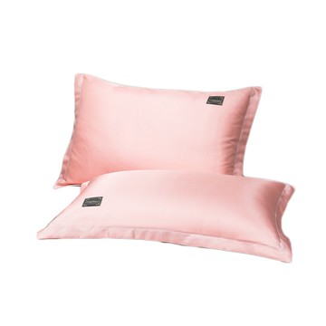 南極人冰絲枕套一對裝夏季涼席枕套單人枕頭套兒童枕芯套