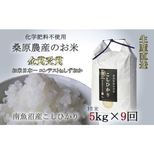 ふるさと納税 新潟県 南魚沼市 桑原農産のお米5×9ヵ月　南魚沼産こしひかり