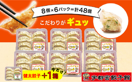 「宇都宮餃子館」のしょうが餃子 8個入り×6パック(計48個)