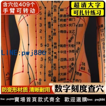 【便宜有好貨】推拿旋轉超清晰全身人體穴位模型帶數字扎針穴位圖大款假人針炙