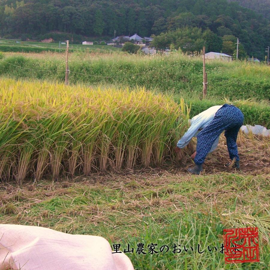 新米 お米 5kg×2 10kg 送料無料 選べるオーダー精米 令和5年産 清流きぬひかり芥田川 農家直送 農家の低温精米 5分づき 7分づき 白米 無洗米 お米ギフト 贈答