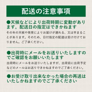 山梨県産　シャインマスカット 1.1kg (２房～3房)