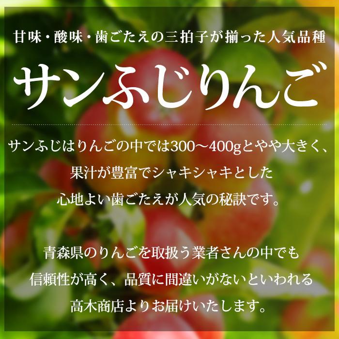 りんご 青森県産 高糖度サンふじ 約3kg 10〜12玉 糖度14度以上