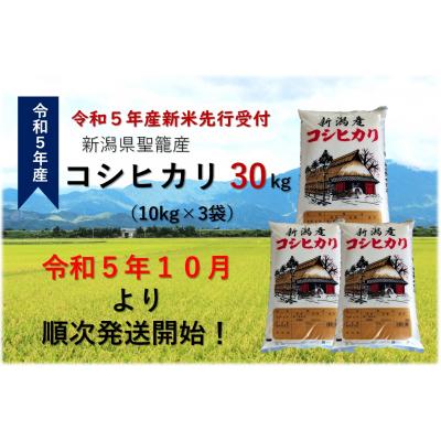 ふるさと納税 聖籠町 新潟県聖籠産米コシヒカリ 30kg