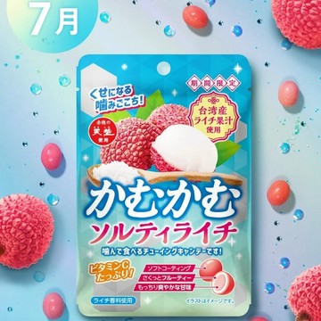 【無國界零食屋】日本 咖姆咖姆 鹽荔枝 荔枝 維他命C 軟糖 檸檬糖 咀嚼糖 隨身包