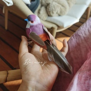 百鳥集 仿真金眼鹛雀小鳥 裝飾攝影發夾頭飾肩章胸針