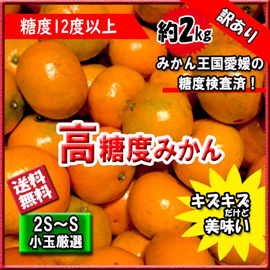 みかん 訳あり 箱買い 高糖度みかん 愛媛みかん 小玉厳選 糖度12度以上 約2ｋｇ ご家庭用 送料無料