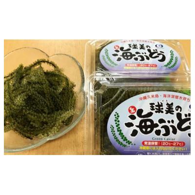 ふるさと納税 久米島町 球美の”生”海ぶどう(100g×3個)