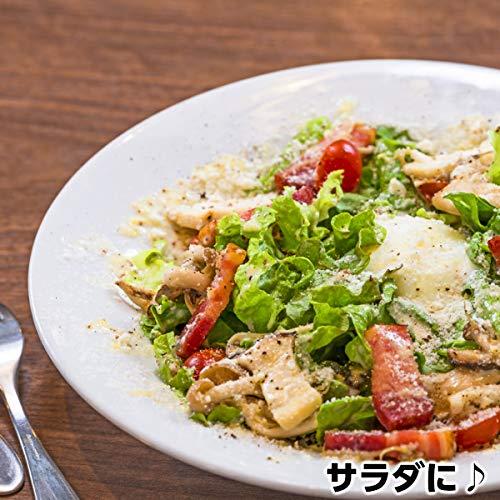 チーズの王様パルミジャーノレッジャーノ100％パウダー500g parmigianoreggiano