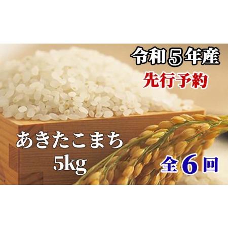 ふるさと納税 白米 10kg 令和5年産 あきたこまち 岡山 「おおがや米」生産組合 G-bg-CCZA 岡山県西粟倉村